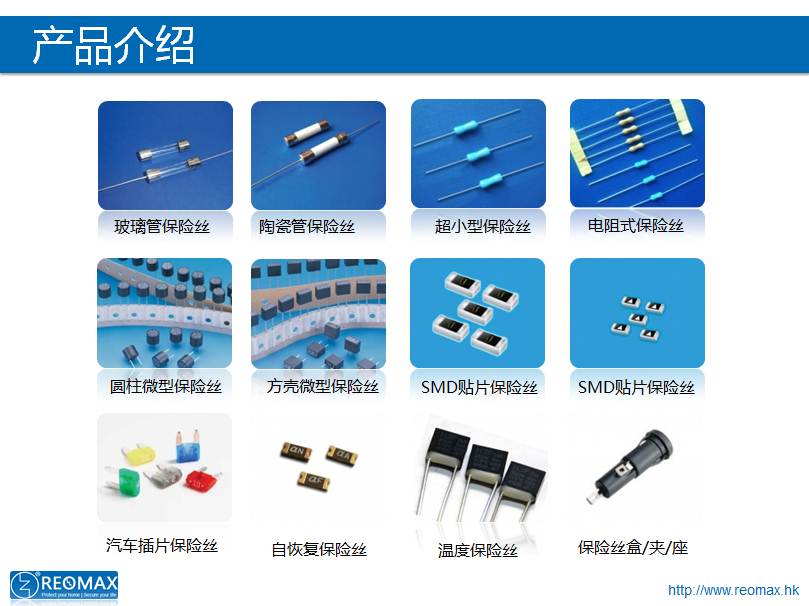 瑞卓保險(xiǎn)絲 REOMAX fuse
