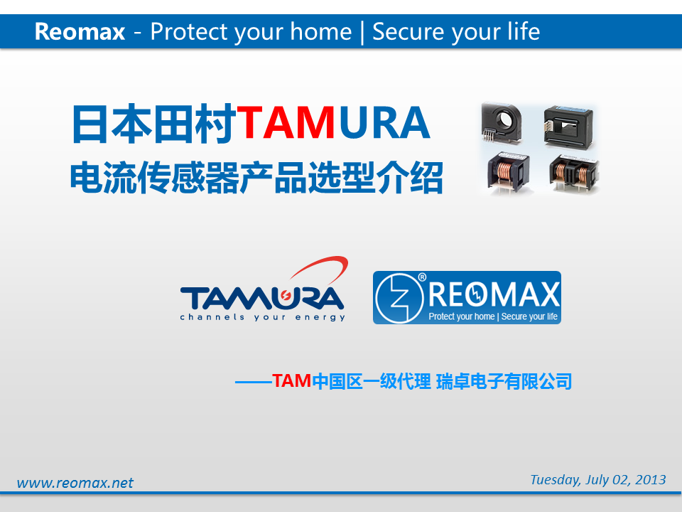 瑞卓保險(xiǎn)絲 REOMAX fuse